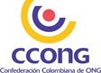 SEGUNDO ENCUENTRO VIRTUAL ENTRE PARES 2024